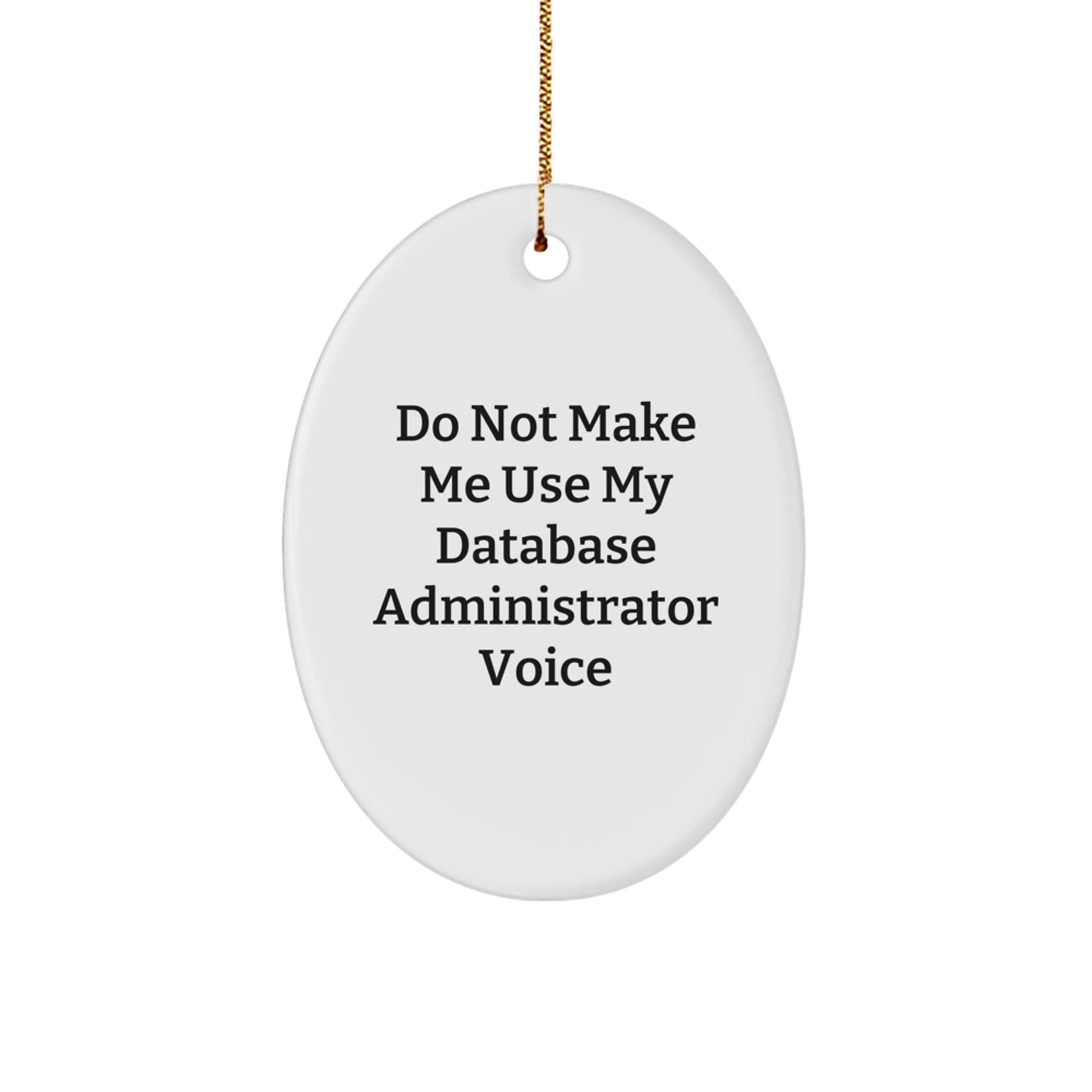 Funny Gift for Database Administrator Friends - Database Administrator Oval Ornament, 'Do Not Make Me Use My Database Administrator Voice', Christmas Unique Gifts for Family, Coworkers, Women, Men - The Buy Boom