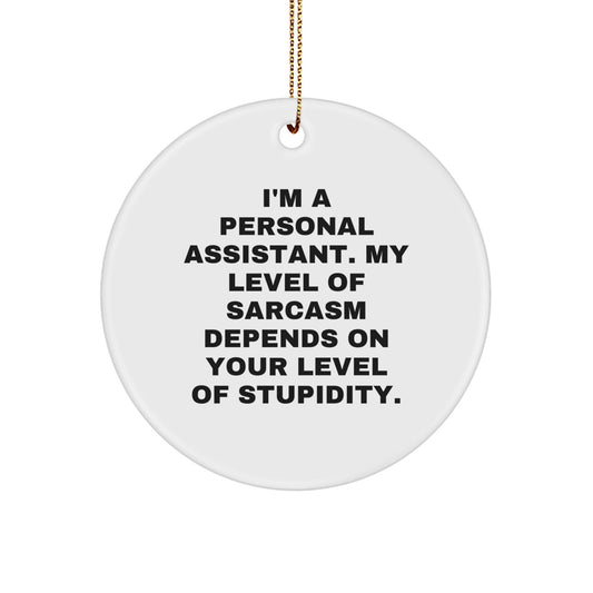 Funny Gift for Personal Assistant, Christmas Unique Ornaments with Sarcasm Quote, Circle Shaped Decorations for Men or Women Coworkers Family Friends - The Buy Boom