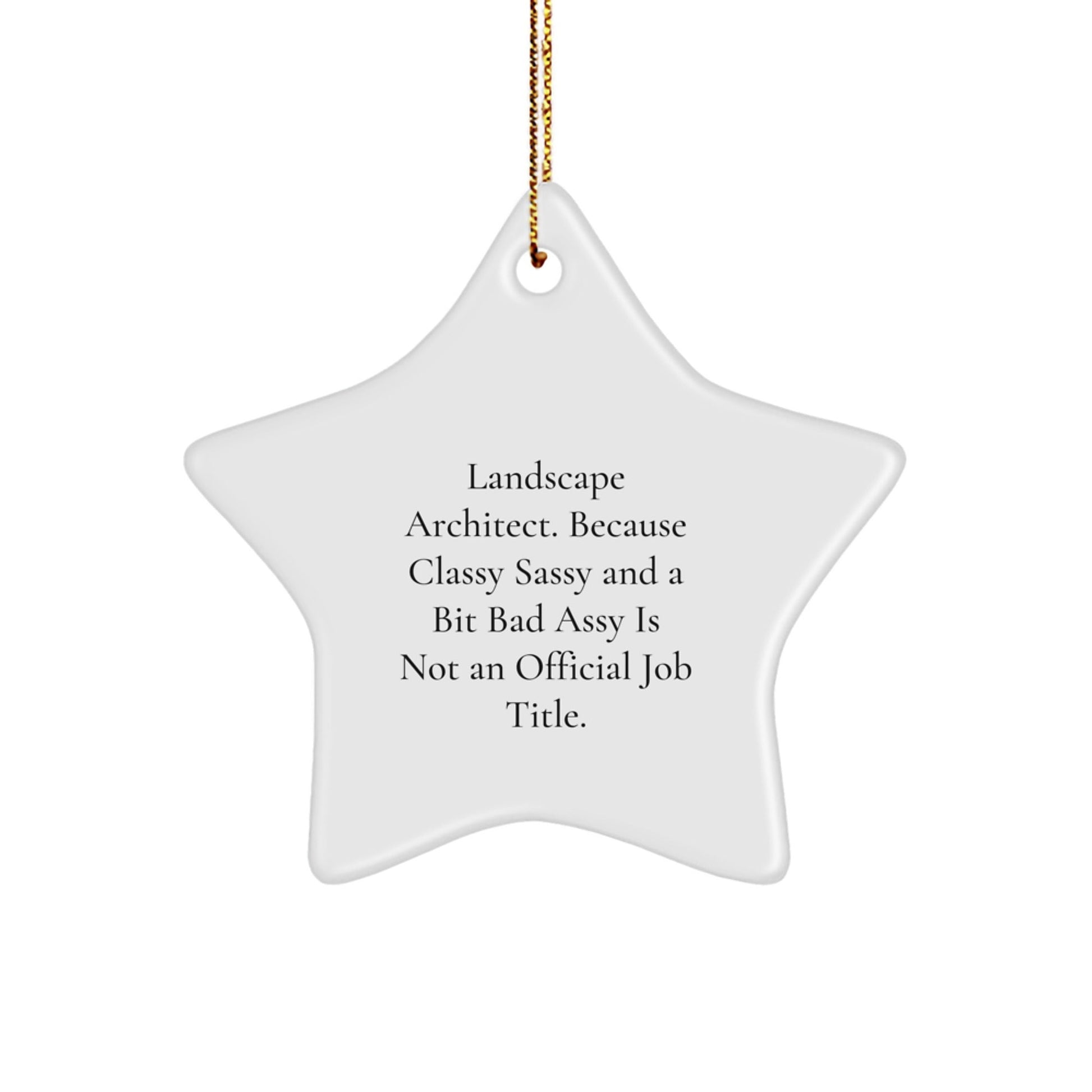 Funny Gifts for Landscape Architect, Star Ornament with Sassy Quote, Christmas Unique Ornaments for Family Friends - The Buy Boom
