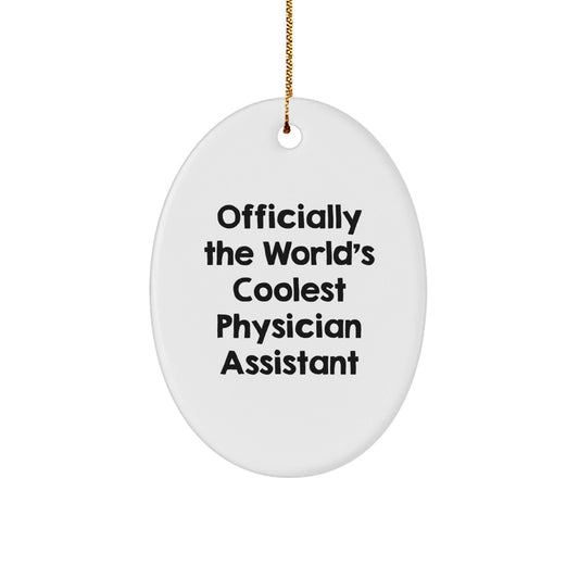 Funny Gifts for Physician Assistant Men or Women - Oval Ornament 'Officially The World's Coolest Physician Assistant' Christmas Unique Gifts - The Buy Boom