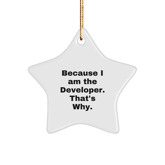 Funny Gifts from Developer Friends for Men Christmas Unique Star Ornaments Because I Am The Developer. That's Why. - The Buy Boom