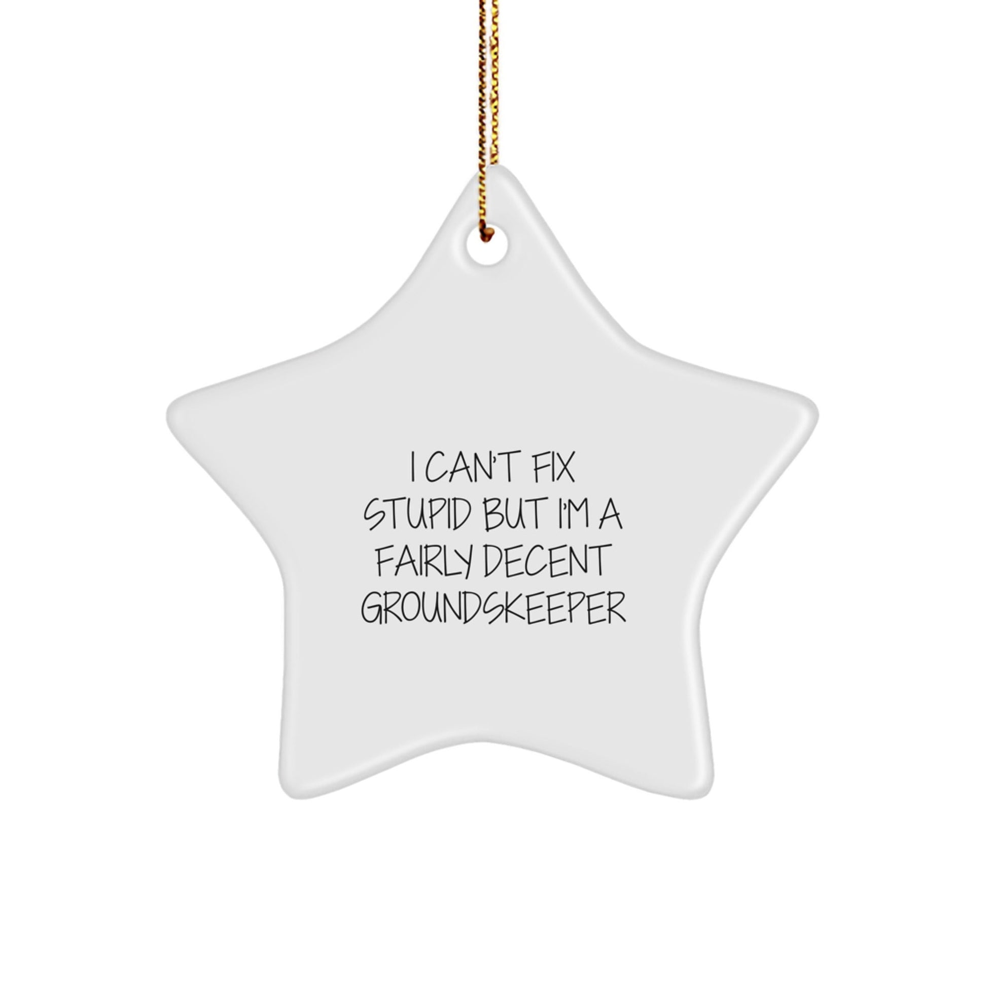 Funny groundskeeper Gift for Men - I Can't Fix Stupid Star Ornament, Christmas Unique Gifts for groundskeeper Friends, Durable MDF Material, Gift from Friends, Family, or Coworkers - The Buy Boom
