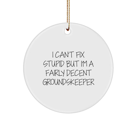 Funny groundskeeper Gifts for Men - 'I Can't Fix Stupid' Circle Ornament Christmas Unique Presents from Friends - The Buy Boom