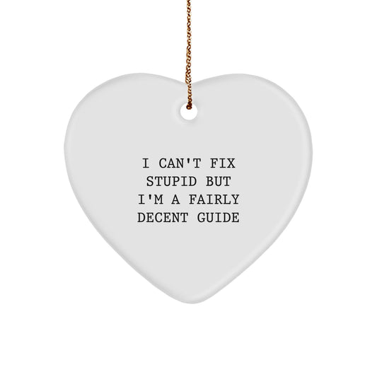 Funny Guide Gifts for Friends or Family - 'I Can't Fix Stupid' Heart Ornament, Christmas Unique Treasures - The Buy Boom
