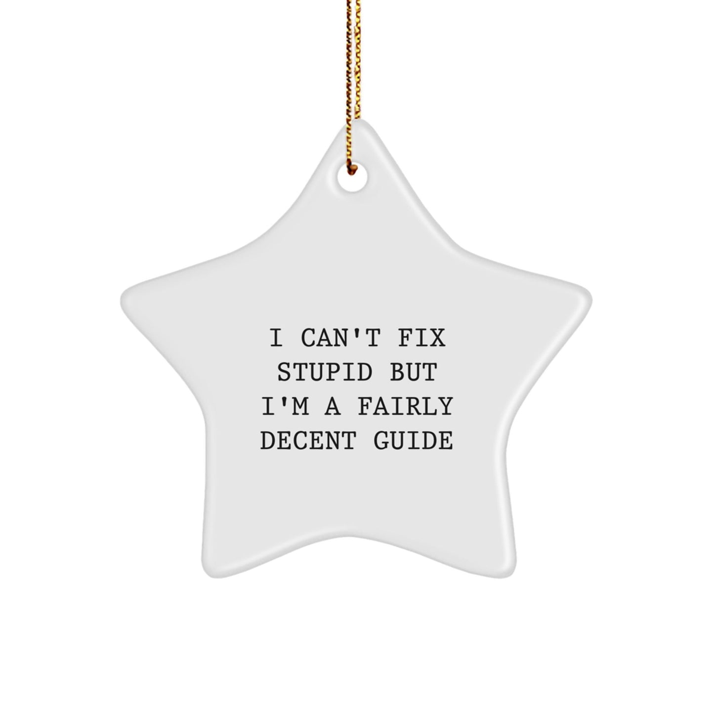Funny Guide Gifts for Him - I Can't Fix Stupid But I'm A Fairly Decent Guide Star Ornament Christmas Decorations - The Buy Boom