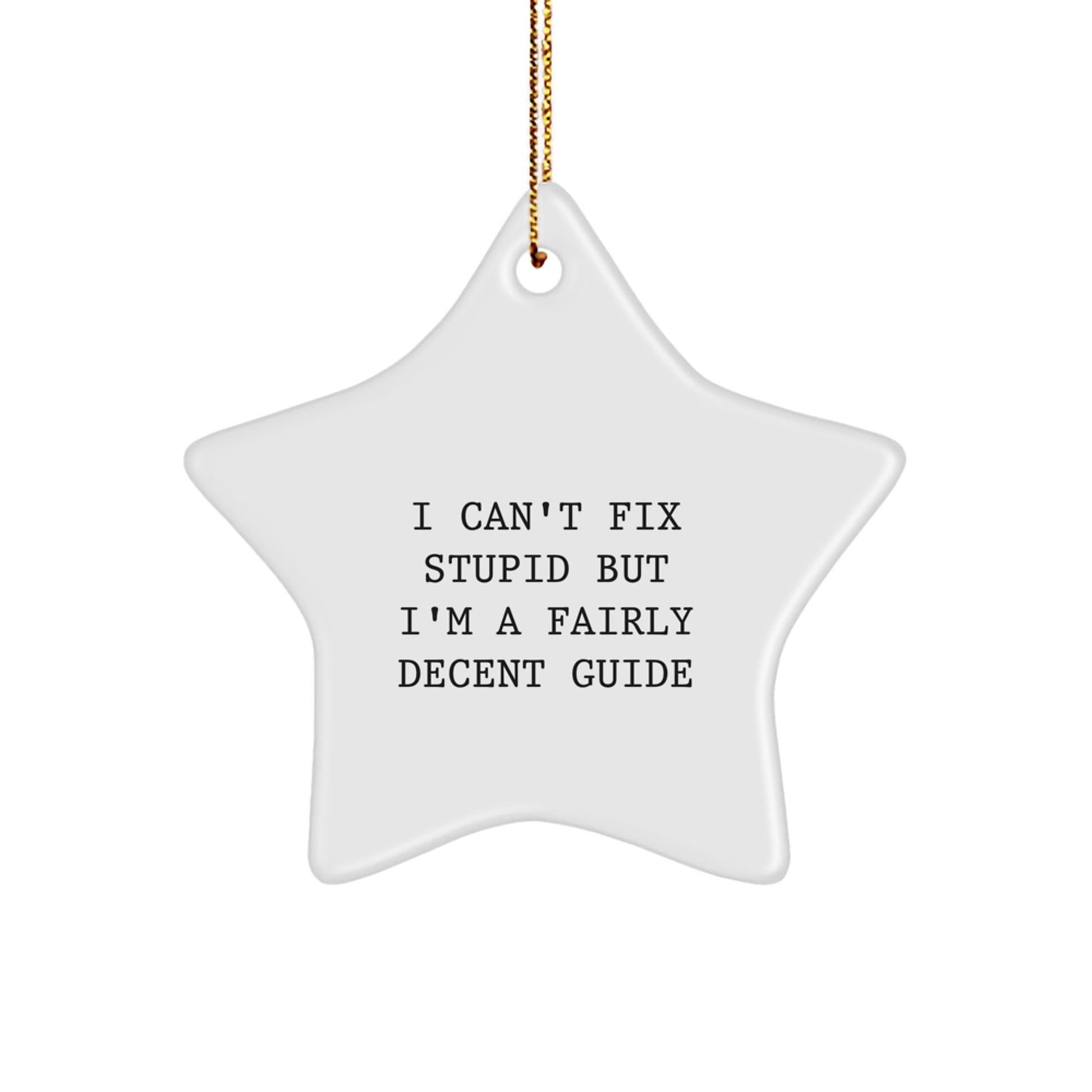 Funny Guide Gifts for Him - I Can't Fix Stupid But I'm A Fairly Decent Guide Star Ornament Christmas Decorations - The Buy Boom