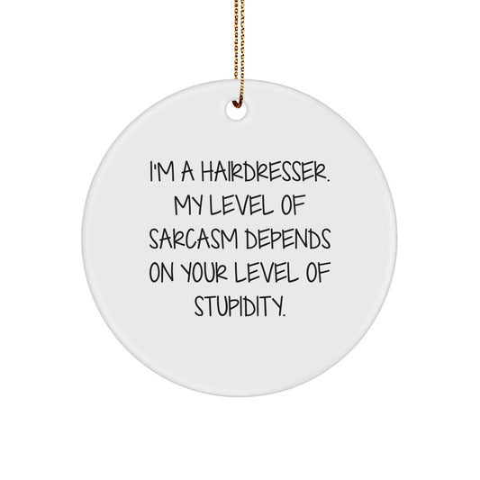 Funny Hairdresser Gifts for Hairdressers, Unique Circle Ornament with Sarcasm Level Quote, Gifts from Family to Hairdresser - The Buy Boom