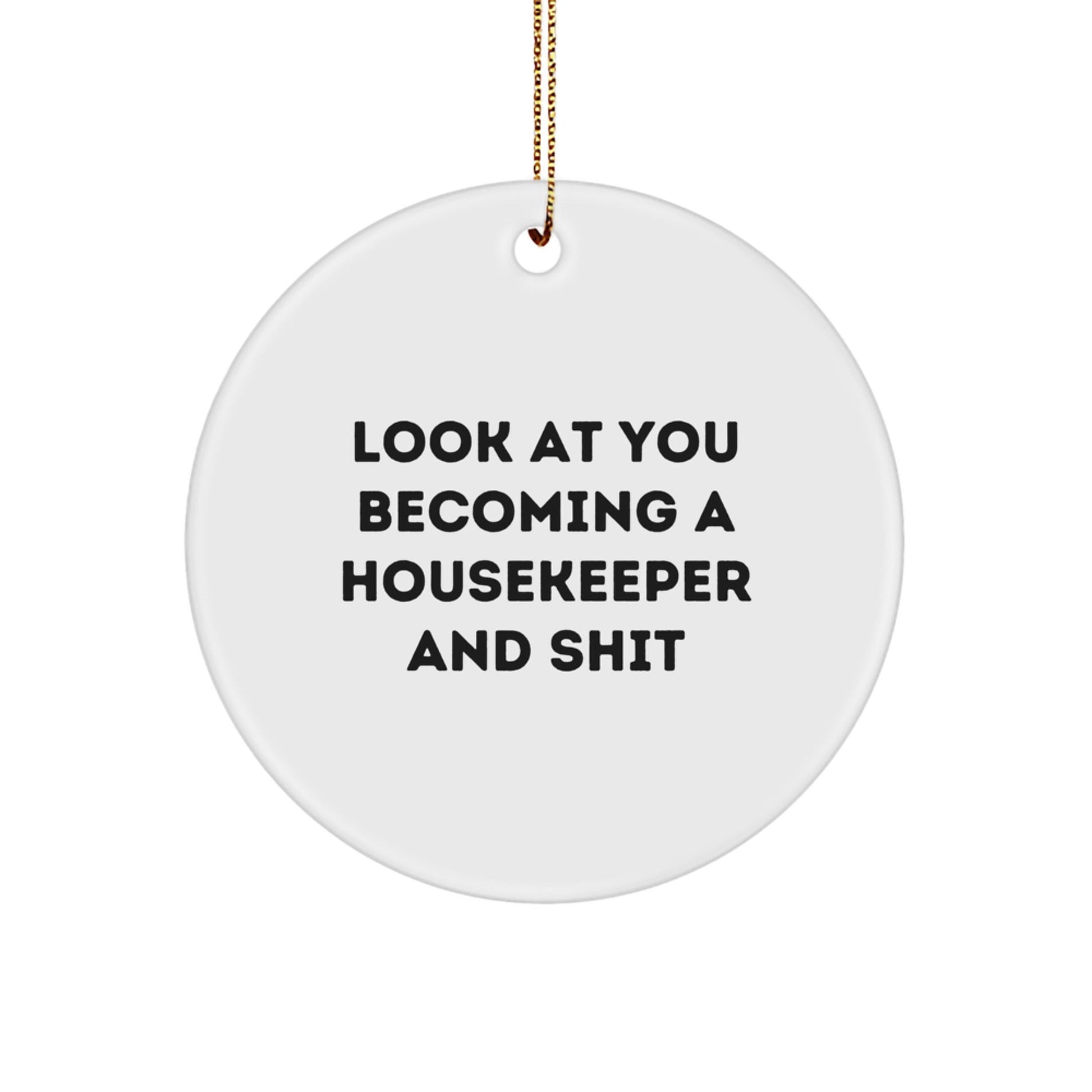 Funny Housekeeper Gifts from Friends and Family - Look At You Becoming A Housekeeper And Shit - Christmas Unique Ornaments for Housekeeper - The Buy Boom
