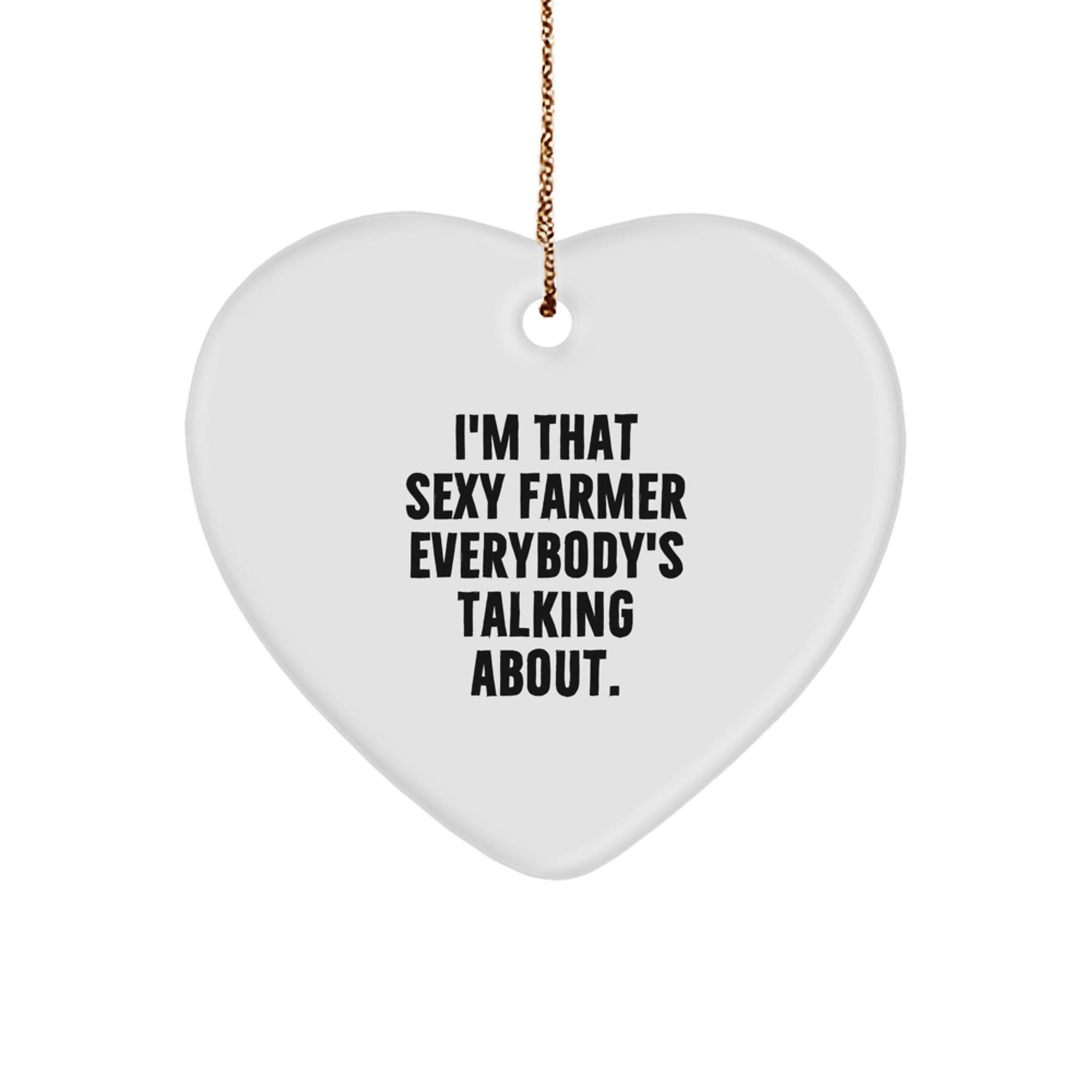 Funny 'I'm That Sexy Farmer Everybody's Talking About.' Heart Ornament Gifts for Farmer Friends Family - The Buy Boom