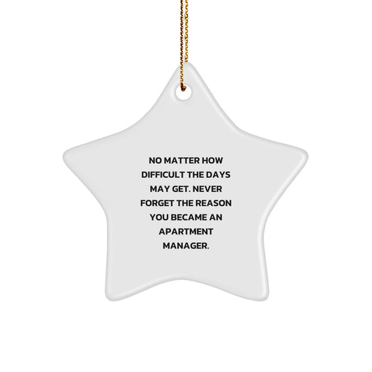 Funny Inspirational Apartment Manager Gifts from Friends for Christmas Unique Star Ornaments Quote - Never Forget You Became an Apartment Manager, Gifts for Apartment Managers, Star Ornament - The Buy Boom