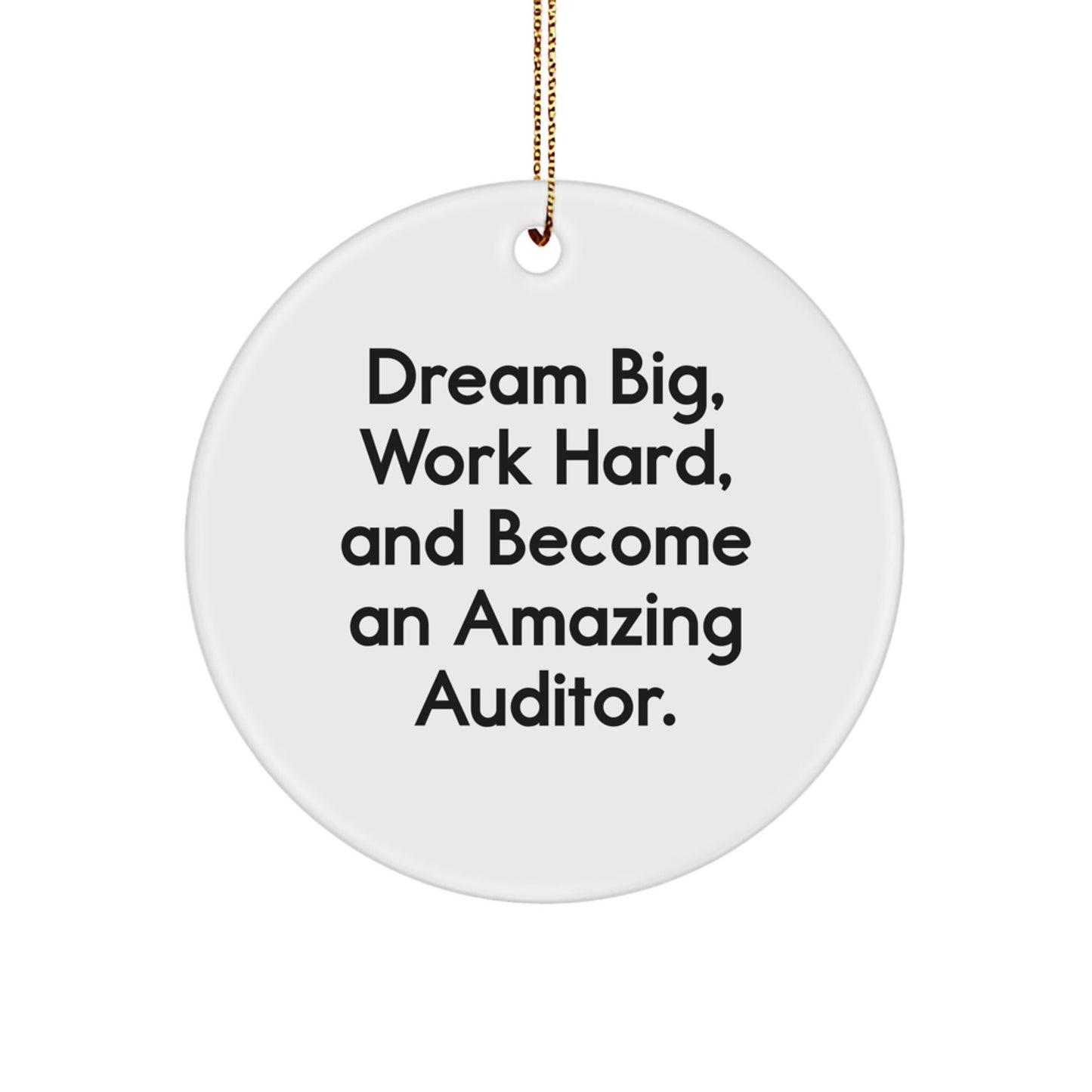 Funny Inspirational Auditor Gifts from Friends Christmas Unique Circle Ornaments - 'Dream Big, Work Hard, Become Amazing Auditors!' for Auditor Friends Family Members - The Buy Boom