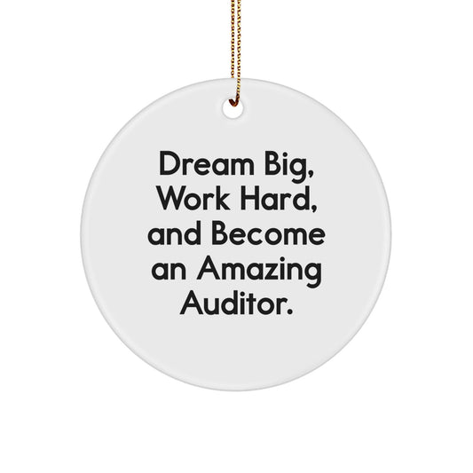 Funny Inspirational Auditor Gifts from Friends Christmas Unique Circle Ornaments - 'Dream Big, Work Hard, Become Amazing Auditors!' for Auditor Friends Family Members - The Buy Boom