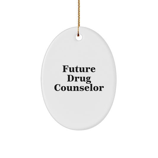 Funny Inspirational Gift for Future Drug Counselor - Oval Ornament Gifts from Men - Christmas Unique Gifts - The Buy Boom