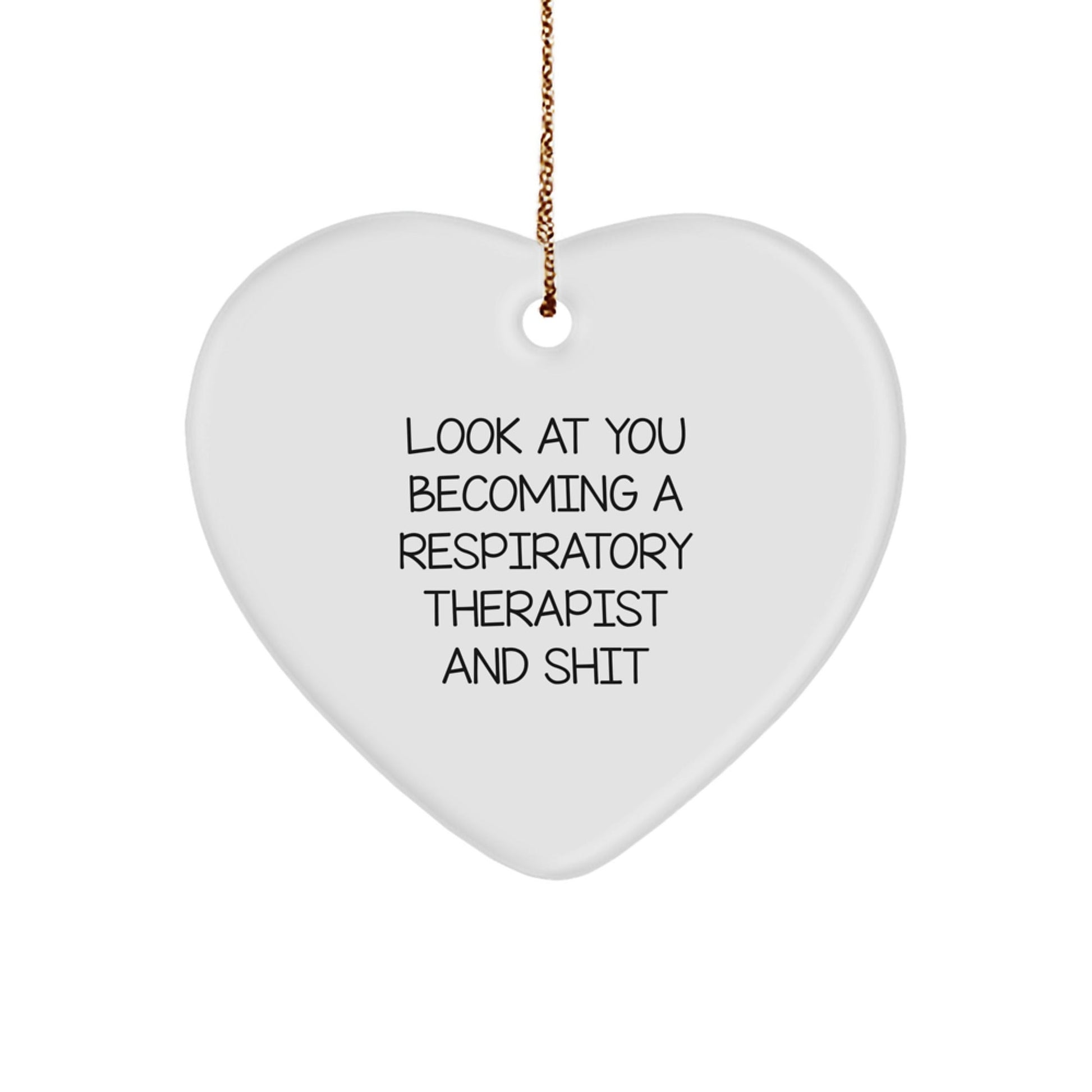 Funny Inspirational Gifts for Respiratory Therapist, Heart Ornament with Look At You Becoming A Respiratory Therapist And Shit Quote, Christmas Unique Gifts from Friends - The Buy Boom
