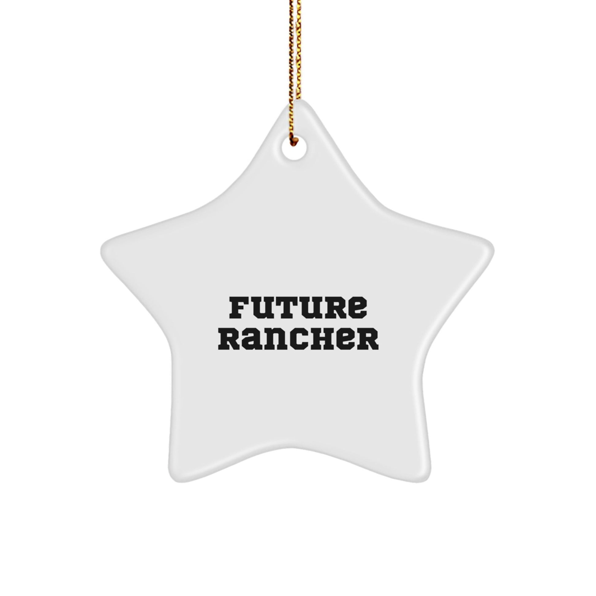 Funny Inspirational Gifts from Friends to Future Rancher Star Ornament Christmas Unique Decorations - The Buy Boom