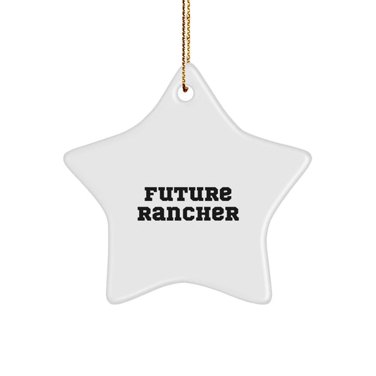 Funny Inspirational Gifts from Friends to Future Rancher Star Ornament Christmas Unique Decorations - The Buy Boom