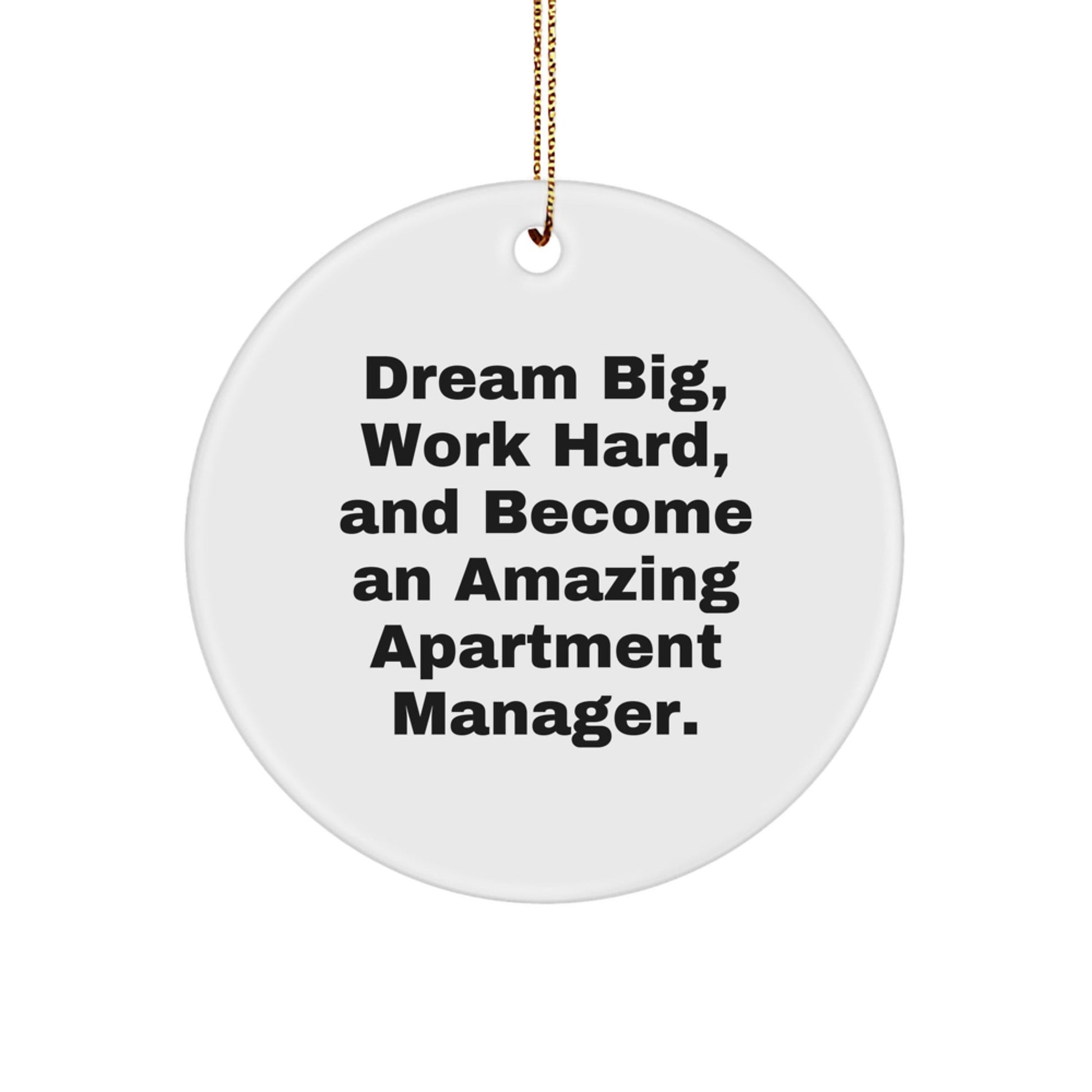 Funny Inspirational Gifts from Men to Apartment Manager Christmas Unique Ornaments with Dream Big Quote, Circle Shaped, White Color - The Buy Boom