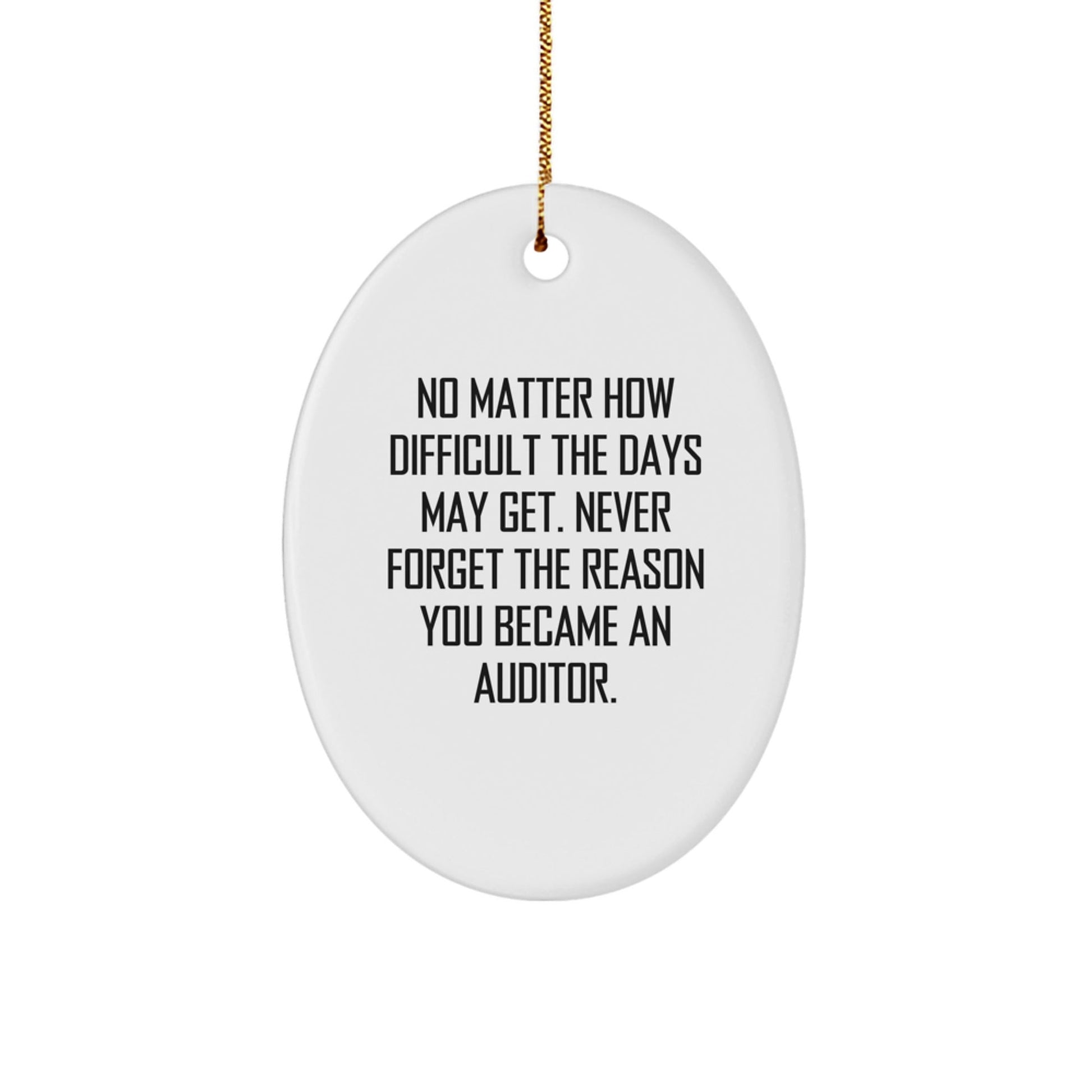 Funny Inspirational Gifts from Men to Family Auditor Friends Christmas Oval Ornament, Oval Ornament for Auditor, Funny Quote Auditor Gift, Christmas Unique Gifts for Auditor - The Buy Boom
