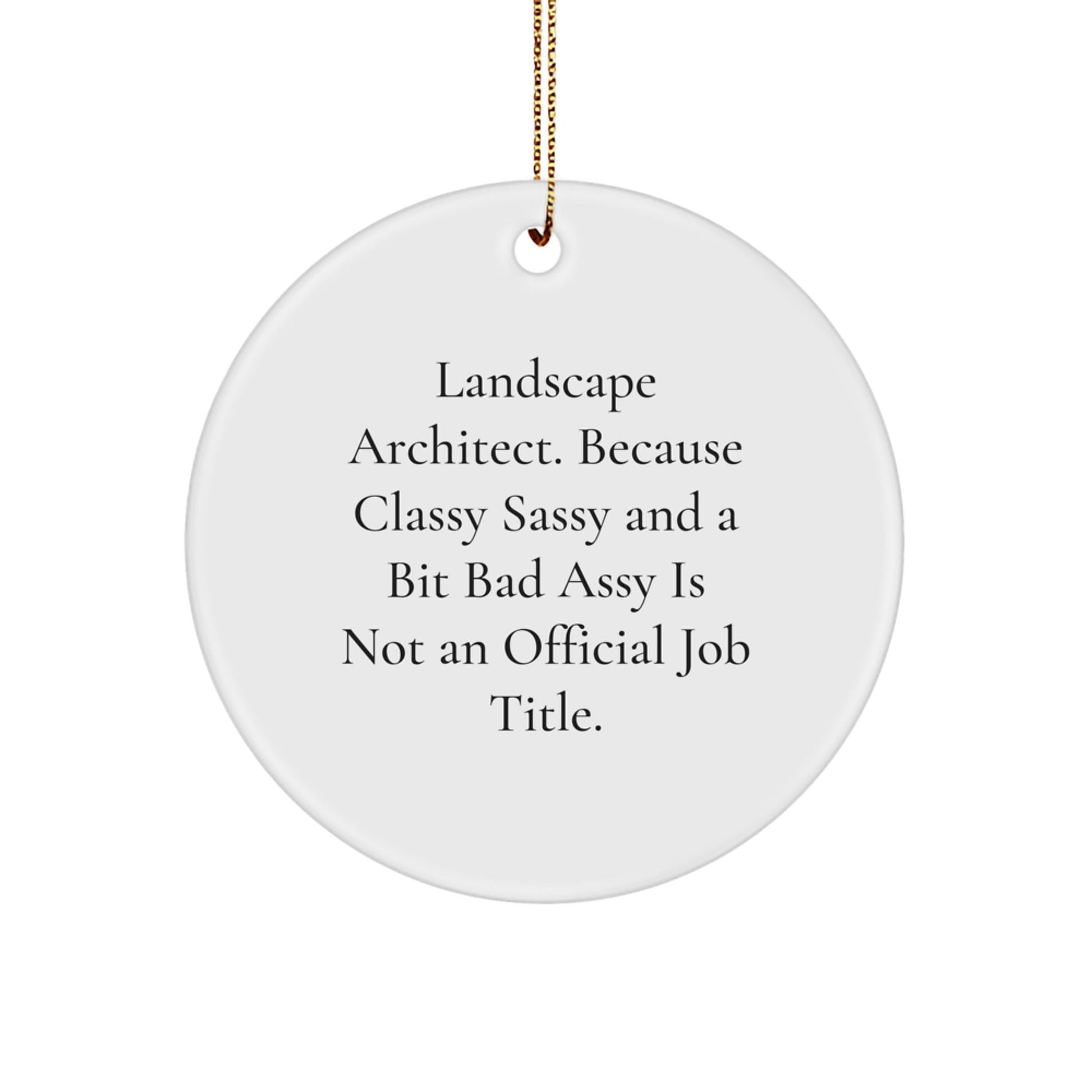 Funny Landscape Architect Christmas Unique Gifts from Friends for Men, Circle Ornament with Inspirational Quote, Unique Office Decor, MDF Material with High - Gloss Finish, 2.75" Height - The Buy Boom