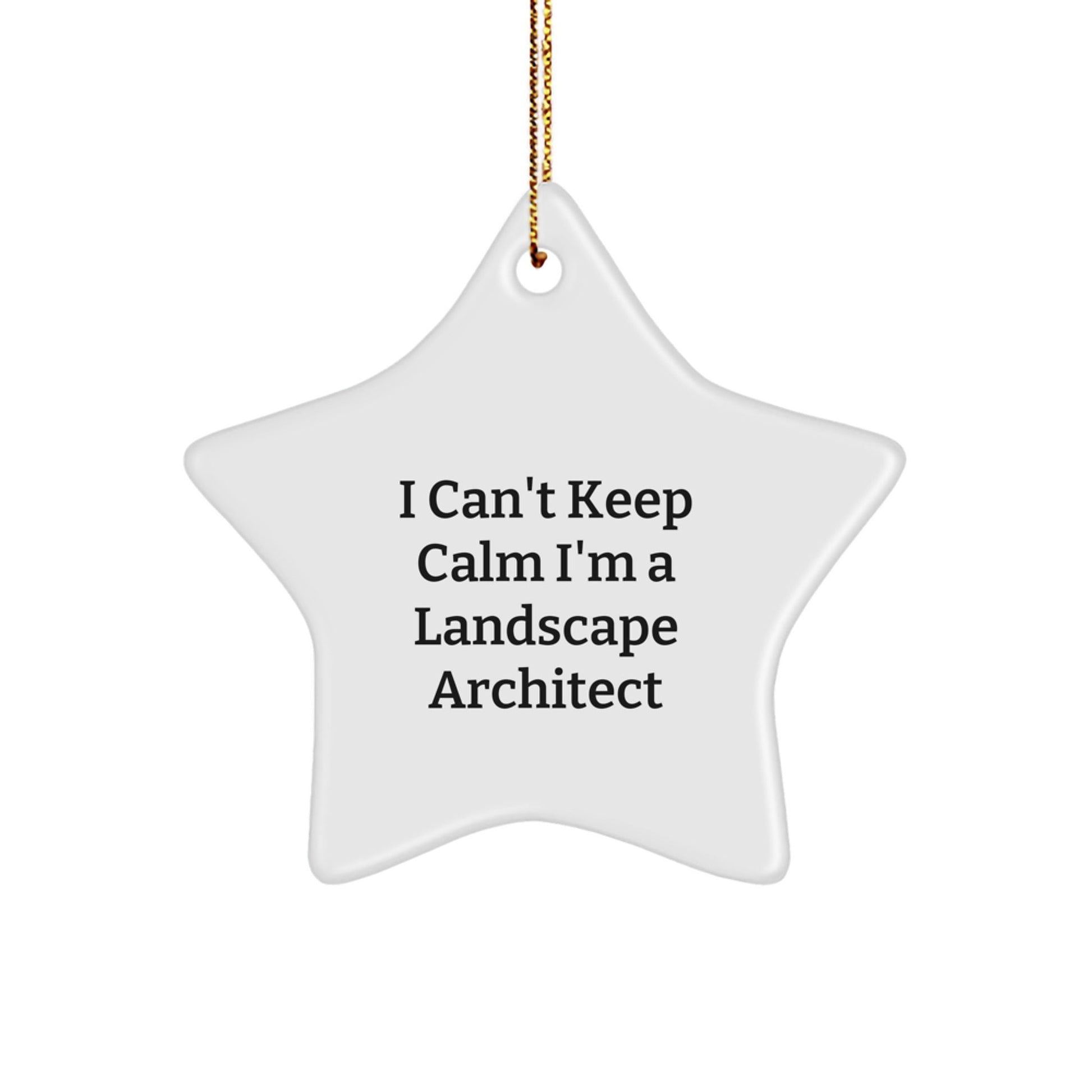 Funny Landscape Architect Gifts from Friends, I Cant Keep Calm I'm A Landscape Architect Star Ornament for Christmas Unique Gifts for Landscape Architects - The Buy Boom