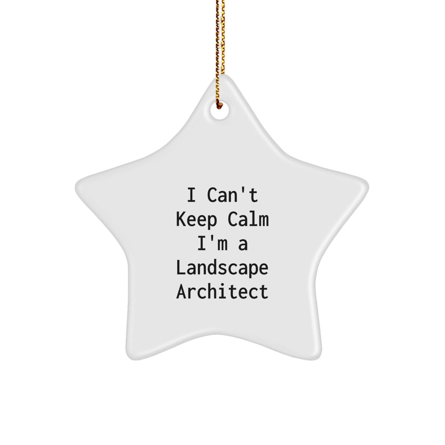 Funny Landscape Architect Gifts, I'm A Landscape Architect Star Ornament, Christmas Unique Gifts for Him - The Buy Boom