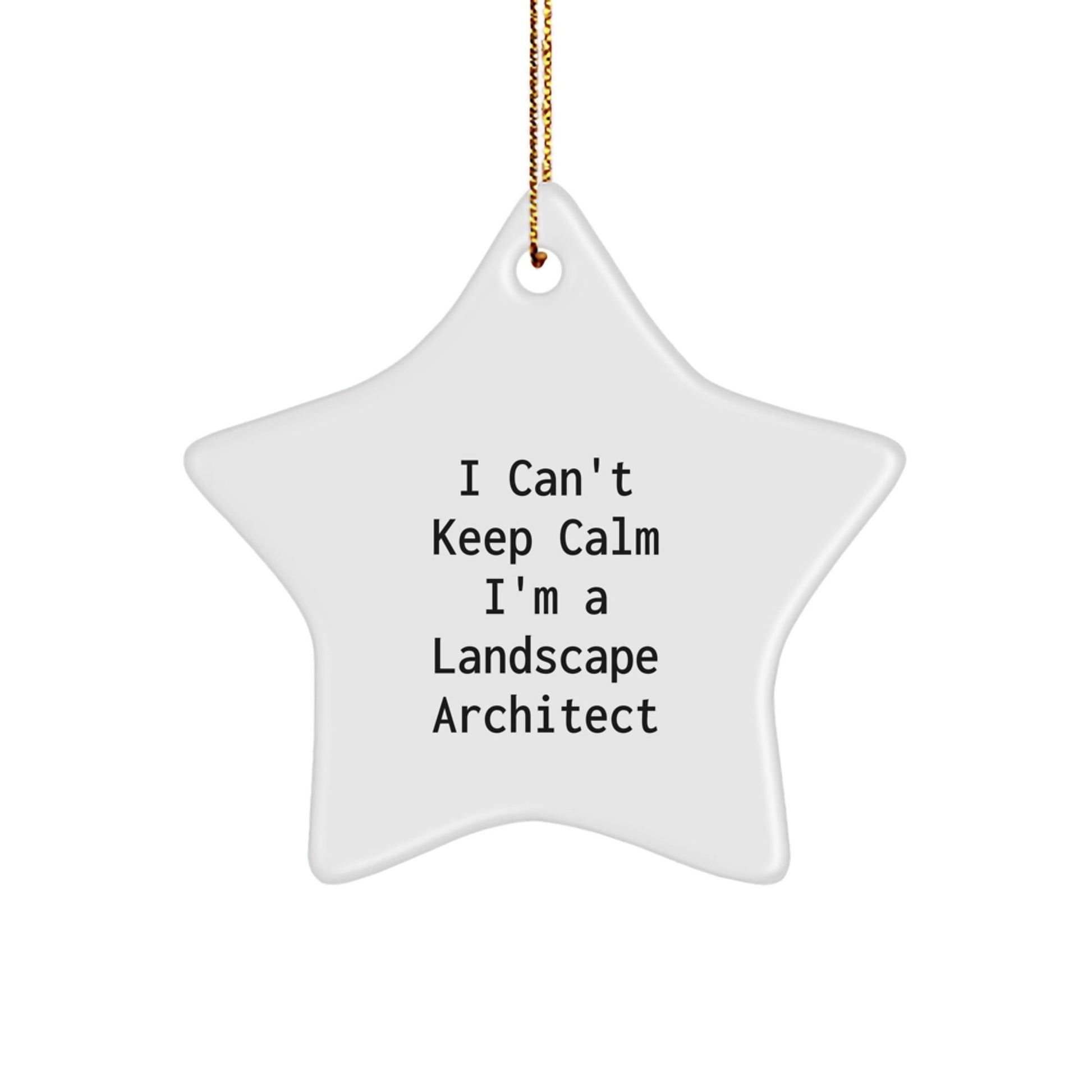 Funny Landscape Architect Gifts, I'm A Landscape Architect Star Ornament, Christmas Unique Gifts for Him - The Buy Boom