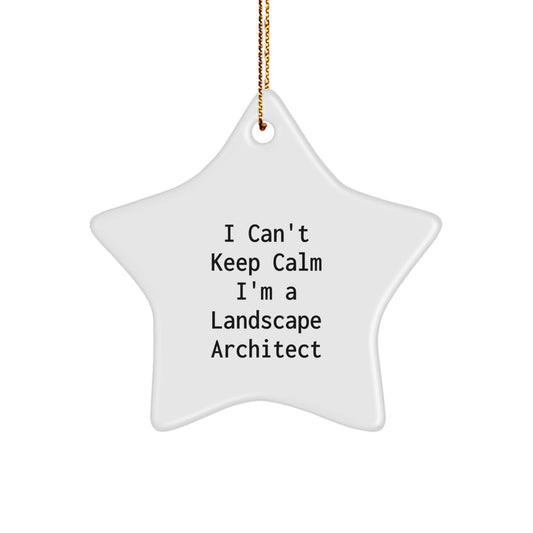 Funny Landscape Architect Gifts, I'm A Landscape Architect Star Ornament, Christmas Unique Gifts for Him - The Buy Boom