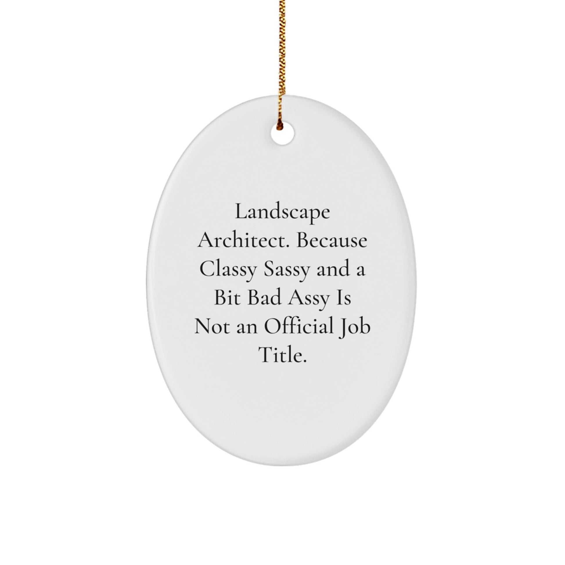 Funny Landscape Architect Oval Ornament, Gifts from Friends for Men and Women, Christmas Unique Gifts, Oval Ornament, Because Classy Sassy And A Bit Fearlessy Is Not An Official Job Title. - The Buy Boom