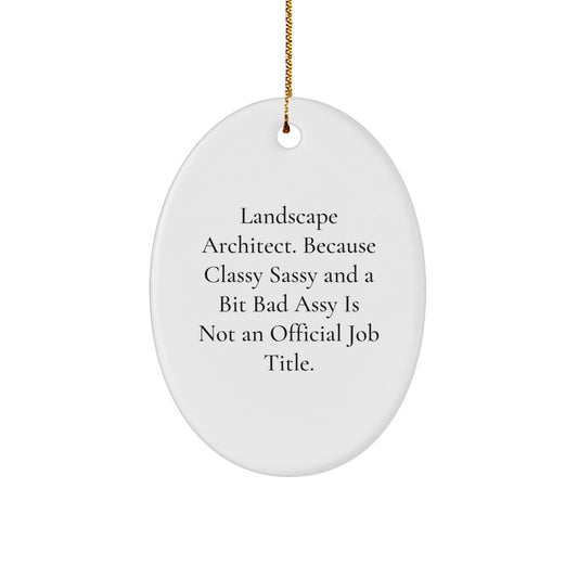 Funny Landscape Architect Oval Ornament, Gifts from Friends for Men and Women, Christmas Unique Gifts, Oval Ornament, Because Classy Sassy And A Bit Fearlessy Is Not An Official Job Title. - The Buy Boom