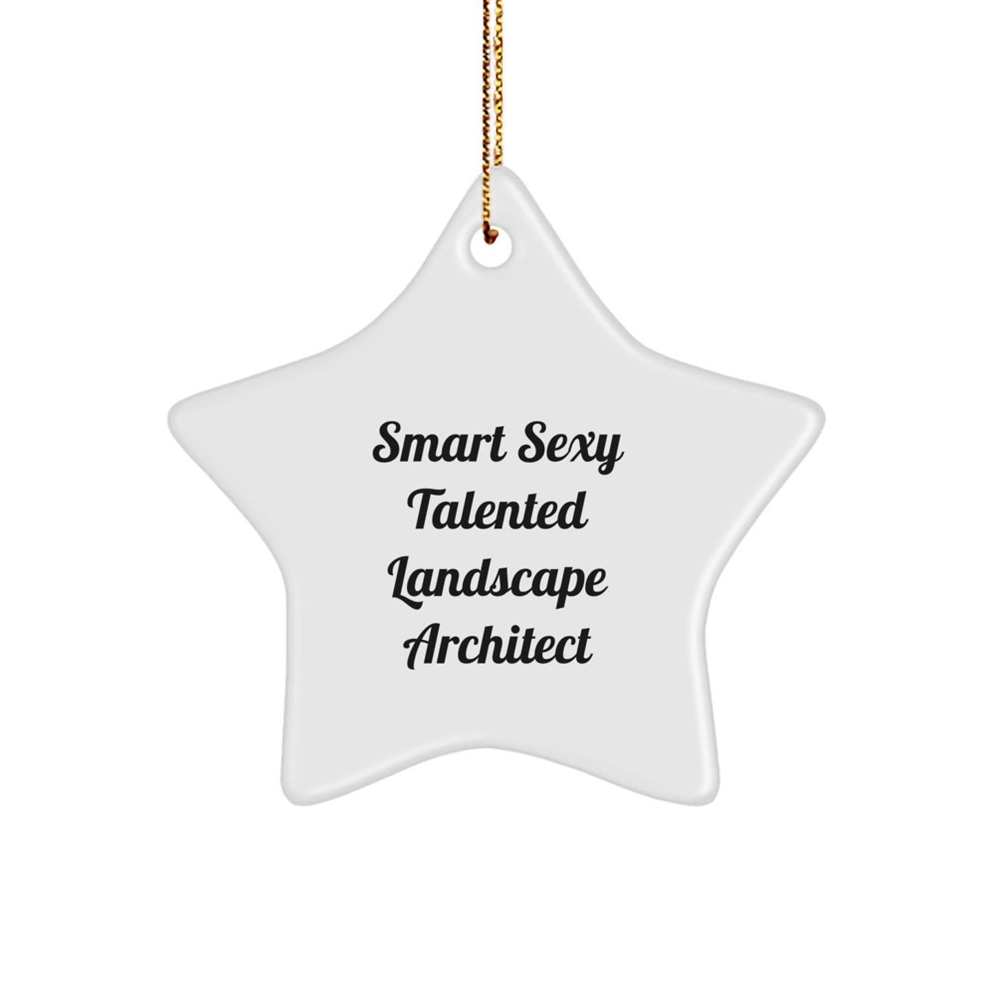 Funny Landscape Architect Star Ornament Gifts from Friends - 'Smart Sexy Talented' Christmas Unique Star Decorations - The Buy Boom