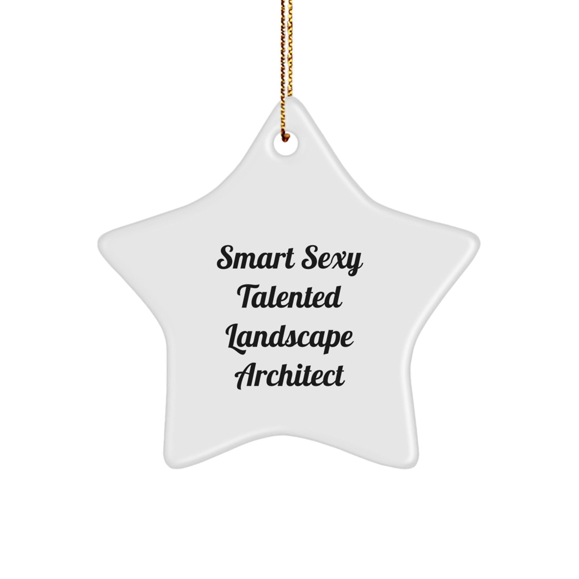 Funny Landscape Architect Star Ornament Gifts from Friends - 'Smart Sexy Talented' Christmas Unique Star Decorations - The Buy Boom
