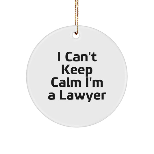 Funny Lawyer Circle Ornament Gifts for Men, Women, Friends, Coworkers, Family - Christmas Unique Decorations from Friends, Family, or Yourself - The Buy Boom