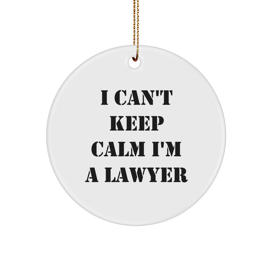 Funny Lawyer Gifts from Friends, I'm a Lawyer Christmas Unique Ornaments for Lawyer Office Decor, Circle Shaped Keepsake - The Buy Boom