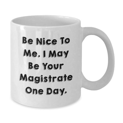 Funny Magistrate Gifts for Men - White Coffee Mug with Quote 'Be Nice To Me. I May Be Your Magistrate One Day.' - Gifts from Friends, Coworkers, or Family for Birthday - The Buy Boom