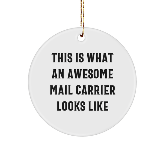 Funny Mail Carrier Gifts from Friends - This Is What Awesome Mail Carriers Look Like Circle Ornament for Christmas - The Buy Boom