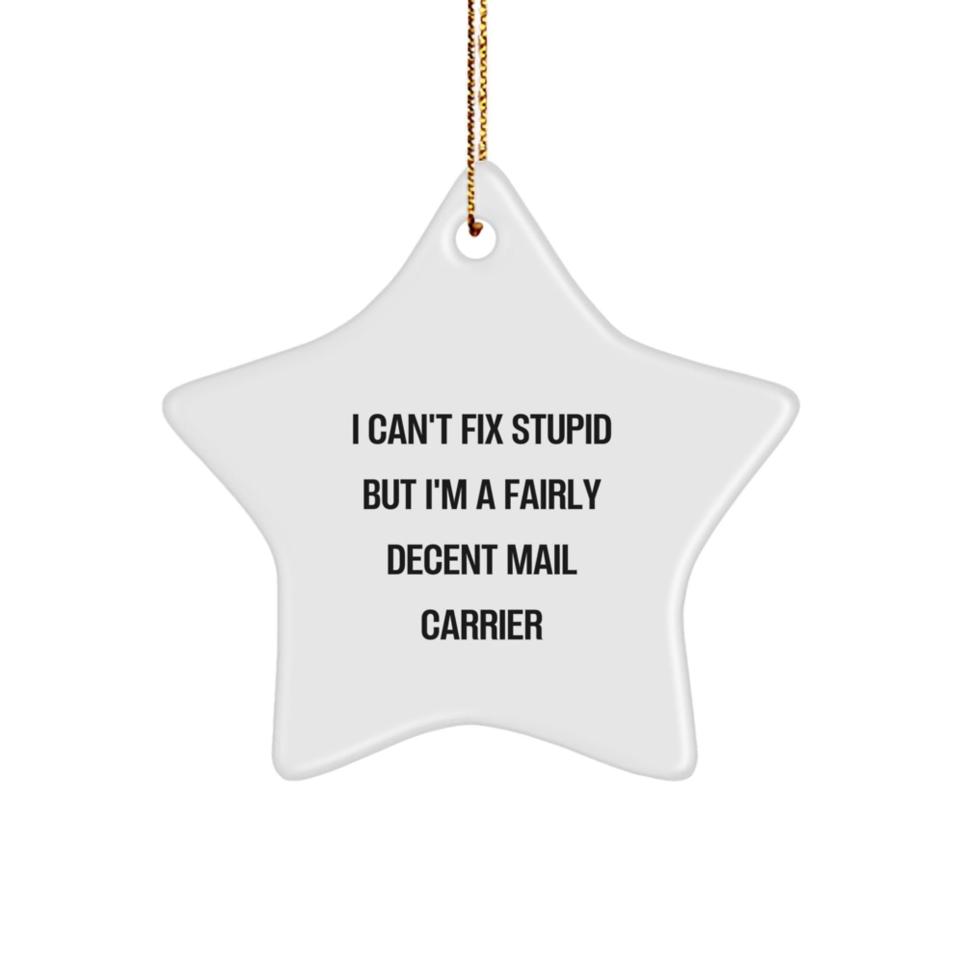 Funny Mail Carrier Gifts, Gifts from Men to Mail Carrier Friends, White Star Ornament with I Can't Fix Stupid But I'm A Fairly Decent Mail Carrier Quote for Christmas - The Buy Boom