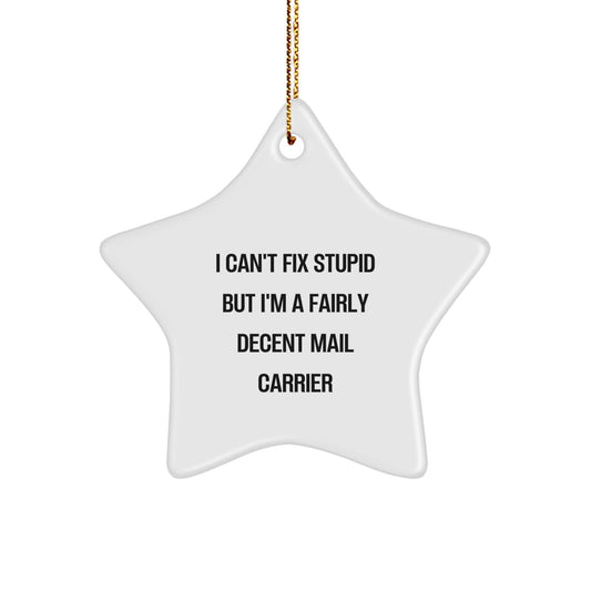 Funny Mail Carrier Gifts, Gifts from Men to Mail Carrier Friends, White Star Ornament with I Can't Fix Stupid But I'm A Fairly Decent Mail Carrier Quote for Christmas - The Buy Boom