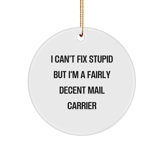 Funny Mail Carrier Mug Gift from Friends for Men - I'm A Fairly Decent Mail Carrier Christmas Unique Ornaments - The Buy Boom