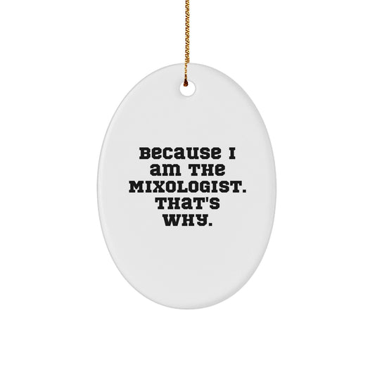 Funny Mixologist Gifts for Men, Oval Ornament 'Because I Am The Mixologist. That's Why.' Christmas Unique Gifts from Friends - The Buy Boom