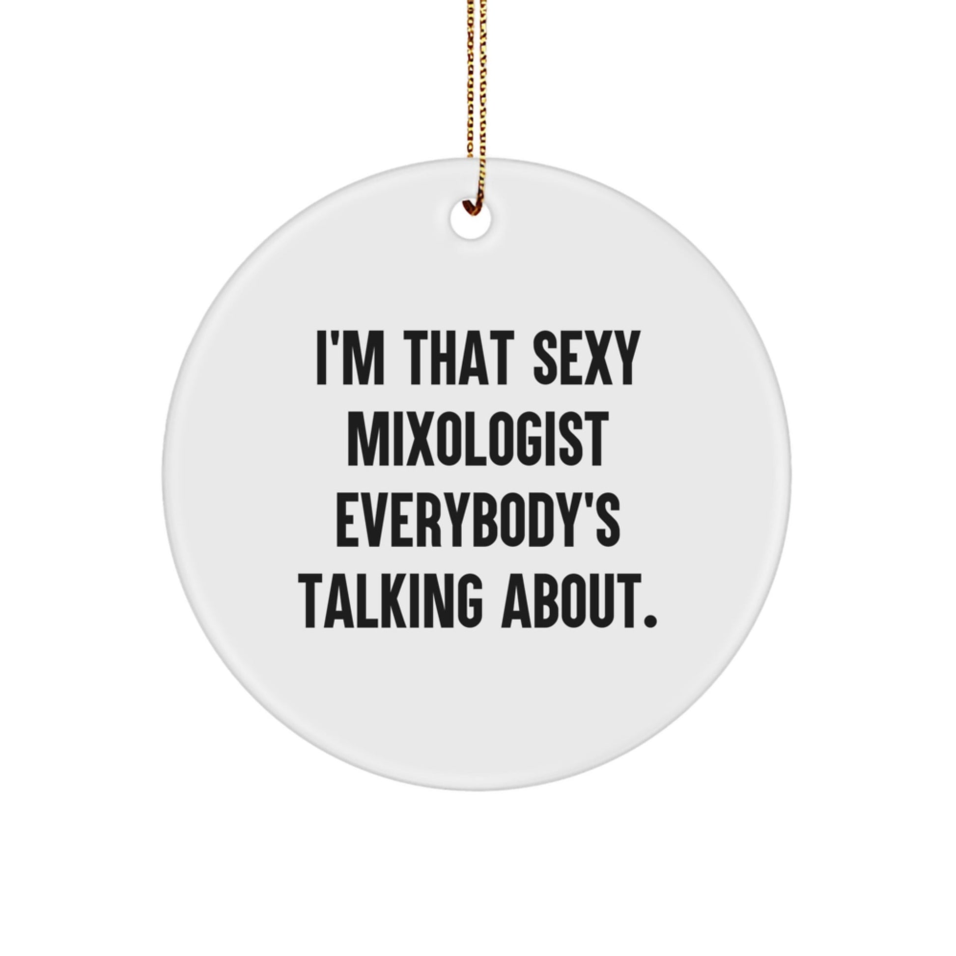 Funny Mixologist Gifts from Friends - Christmas Unique Circle Ornament, 'I'm That Sexy Mixologist Everybody's Talking About', Perfect for Coworkers - The Buy Boom
