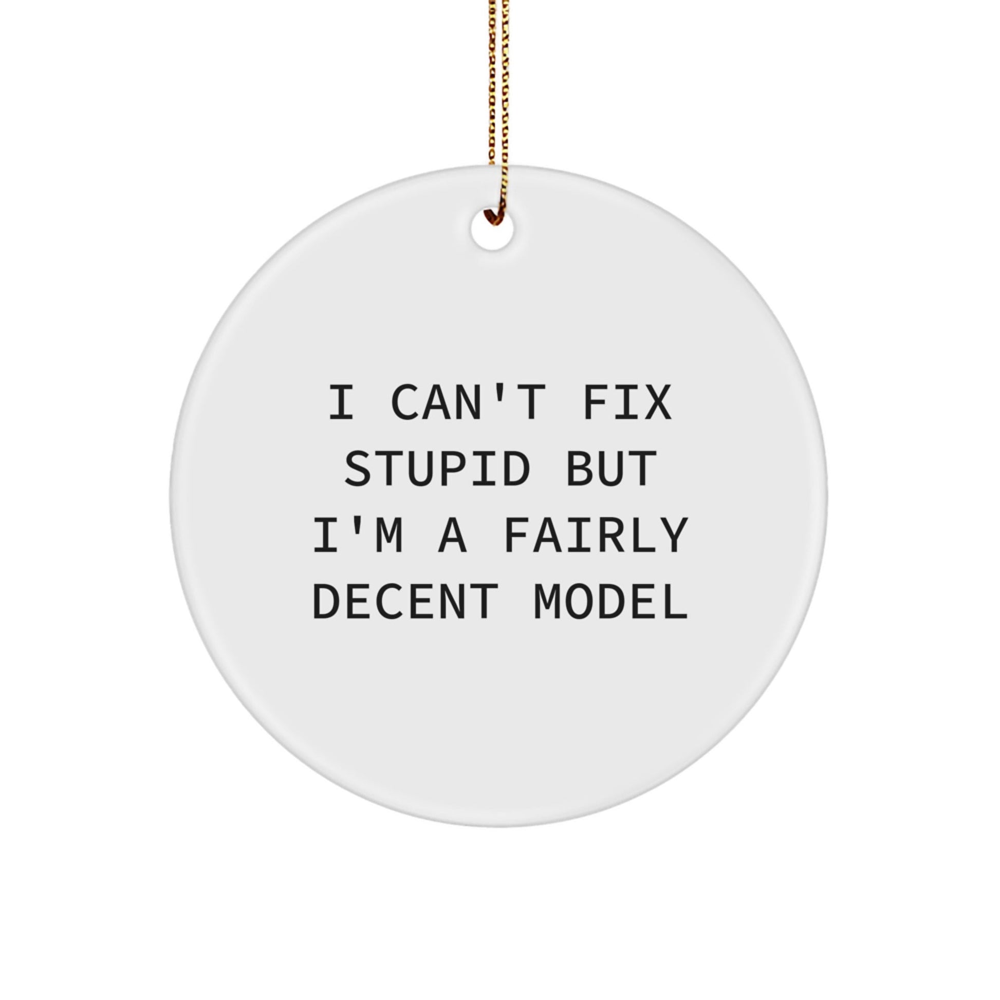 Funny Model Gifts for Him - Circle Ornament I Can't Fix Stupid But I'm A Fairly Decent Model Christmas Unique Gifts from Men to Friends - The Buy Boom