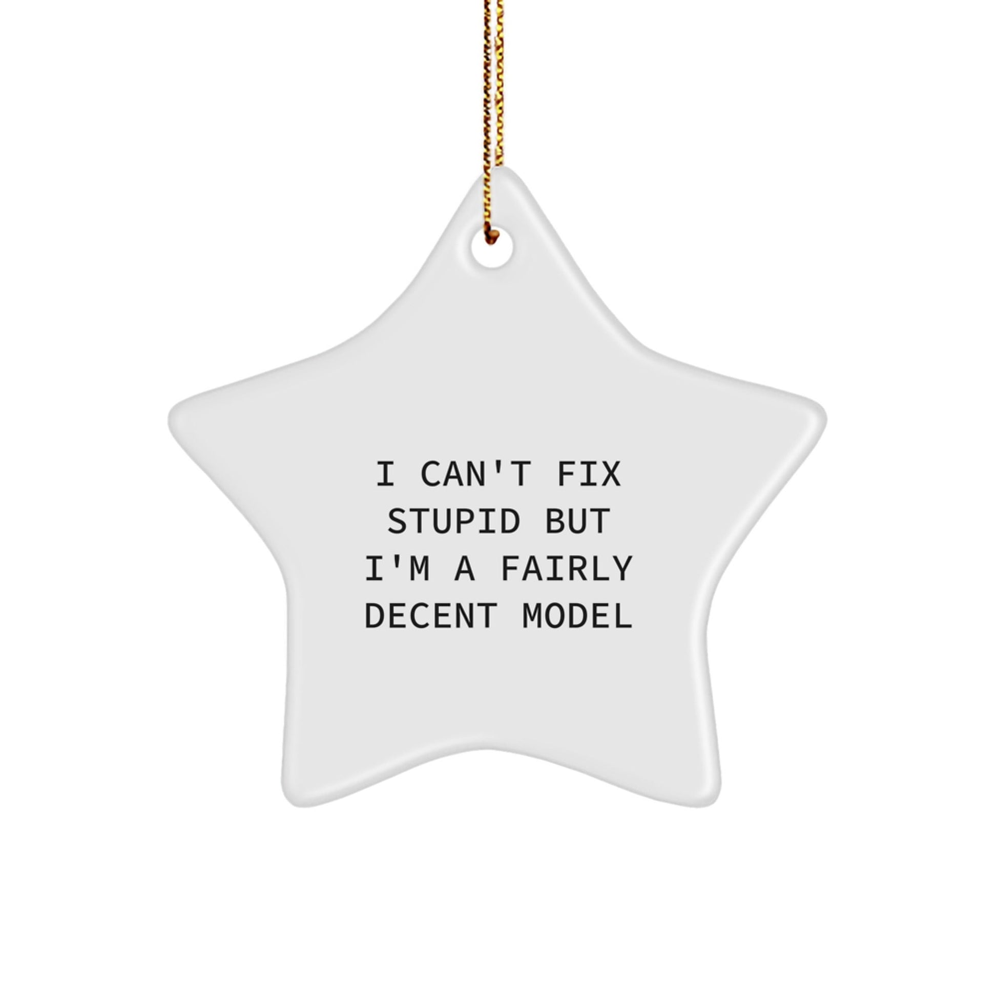 Funny Model Star Ornament Gifts from Friends for Christmas - I Can't Fix 'Stupid' Star Shaped Decorations - The Buy Boom