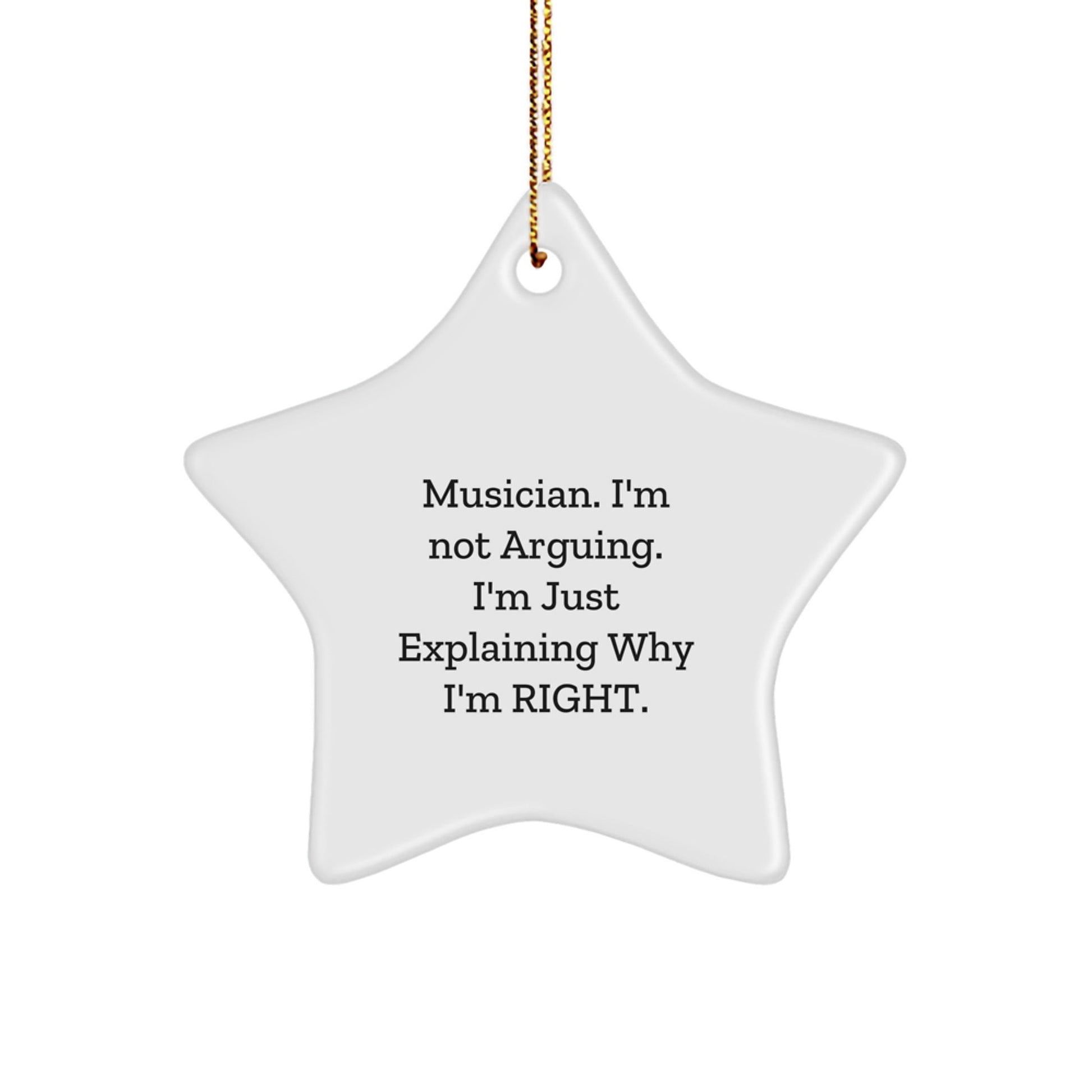 Funny Musician Gifts from Friends, Christmas Unique Star Ornament for Musician, 'I'm Not Arguing I'm Just Explaining Why I'm Right' Star Decor - The Buy Boom