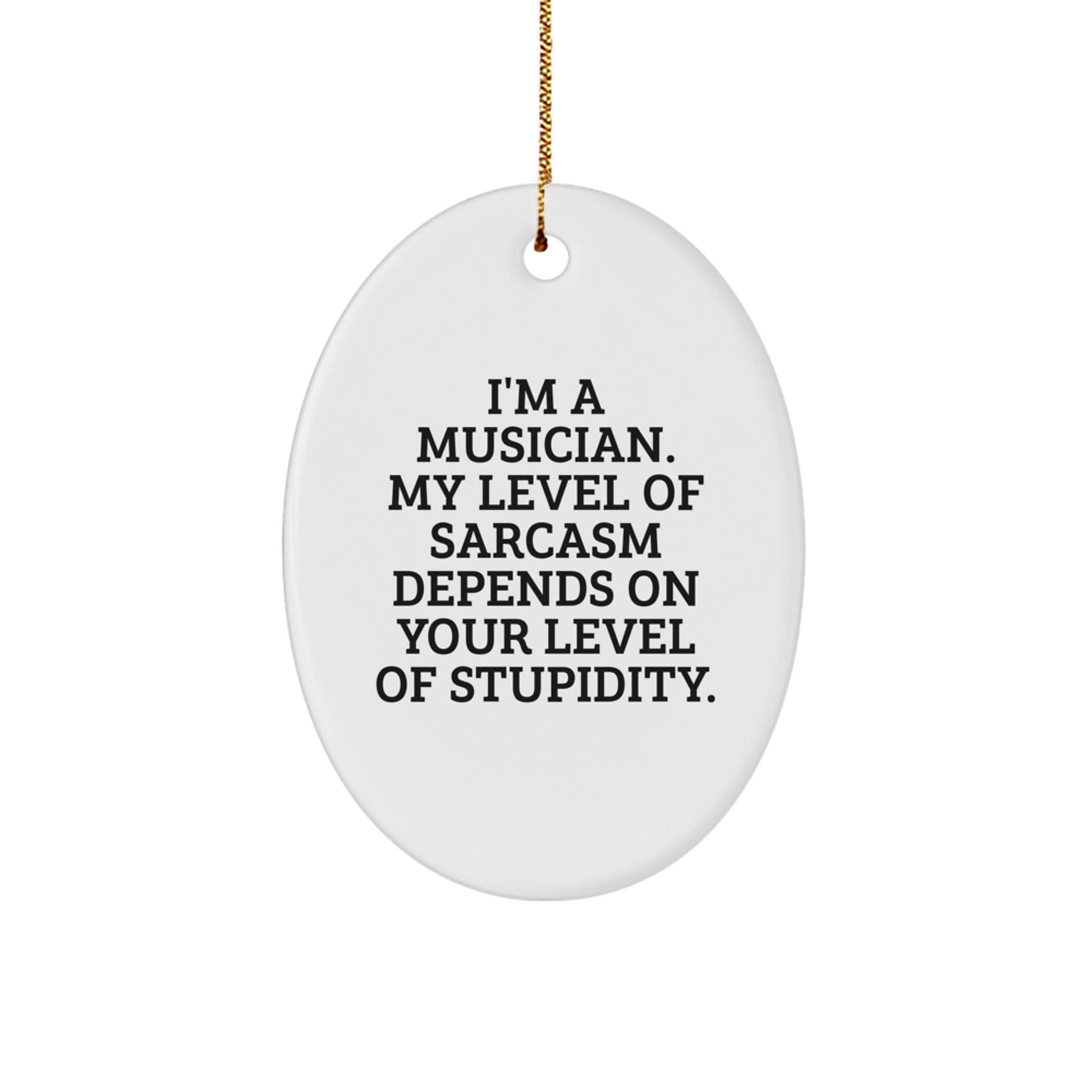 Funny Musician Gifts from Friends - I'm A Musician, Oval Ornament for Christmas - The Buy Boom