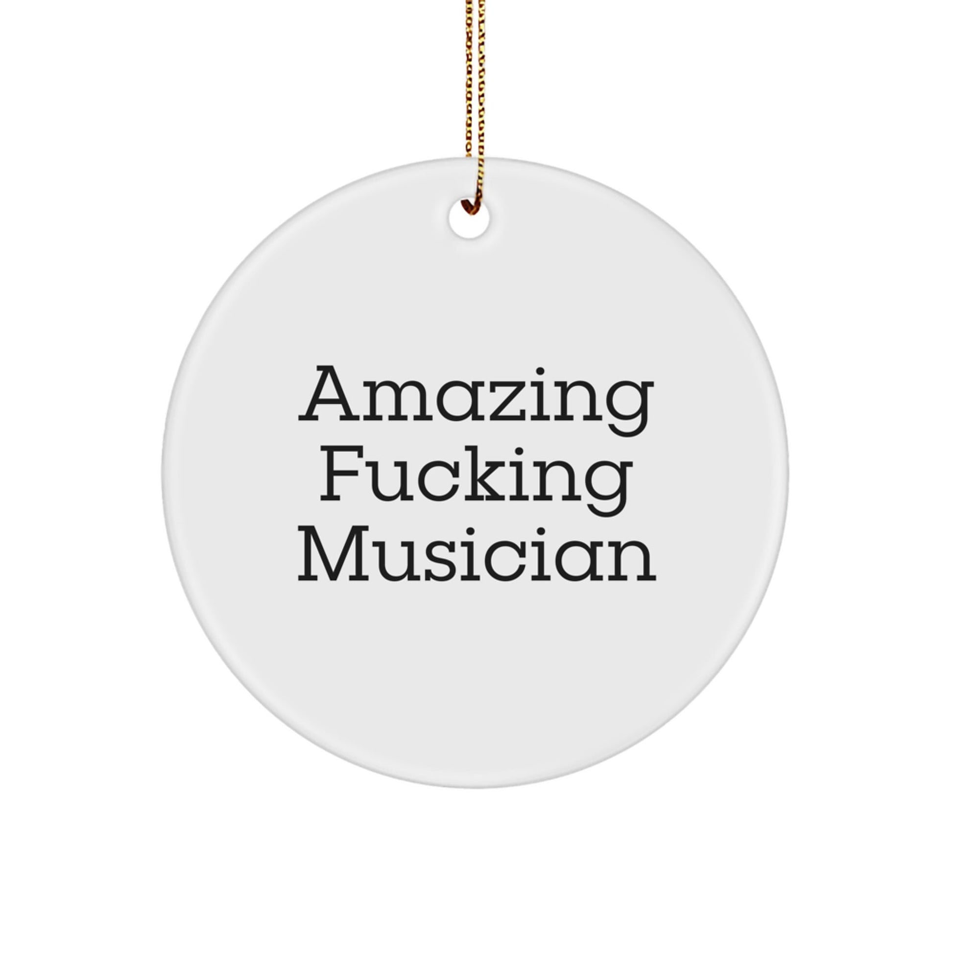 Funny Musician Quotes Circle Ornaments for Musician Friends Gifts from Men or Women, Perfect for Birthday Christmas Unique Gifts - The Buy Boom