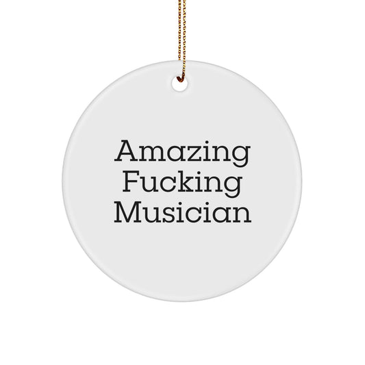 Funny Musician Quotes Circle Ornaments for Musician Friends Gifts from Men or Women, Perfect for Birthday Christmas Unique Gifts - The Buy Boom