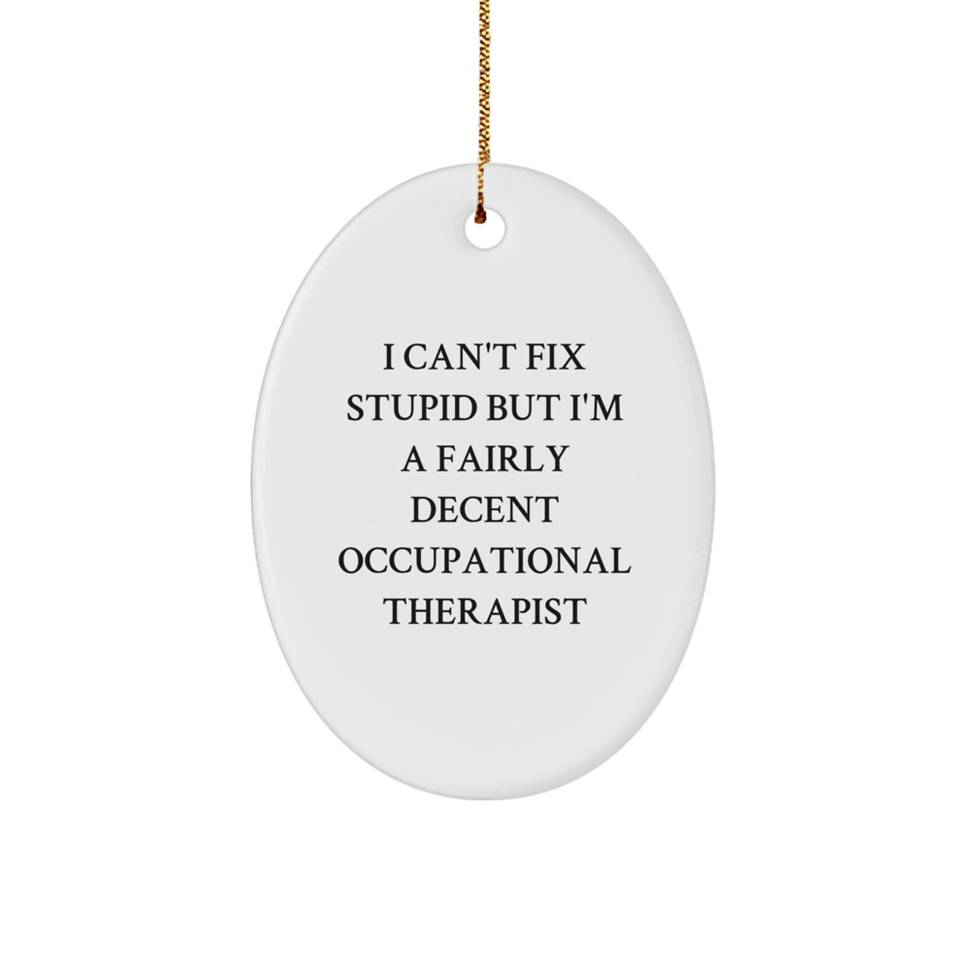 Funny Occupational Therapist Gifts from Friends, Oval Christmas Ornament 'I Can't Fix Stupid But I'm A Fairly Decent Occupational Therapist', Perfect for Coworkers or Family - The Buy Boom