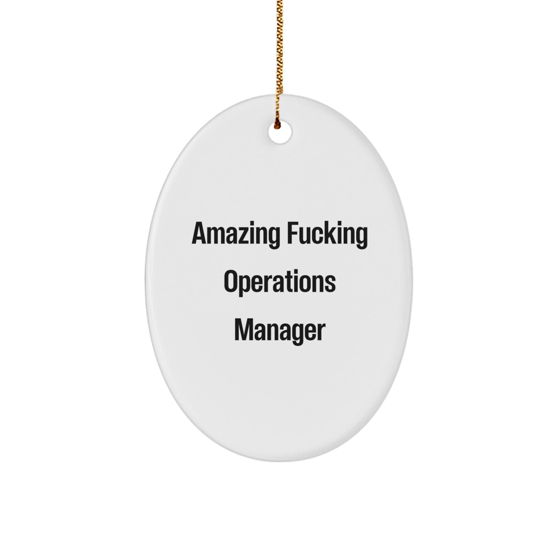 Funny Operations Manager Gifts for Him Christmas Unique Oval Ornament from Colleagues, Coworkers - The Buy Boom