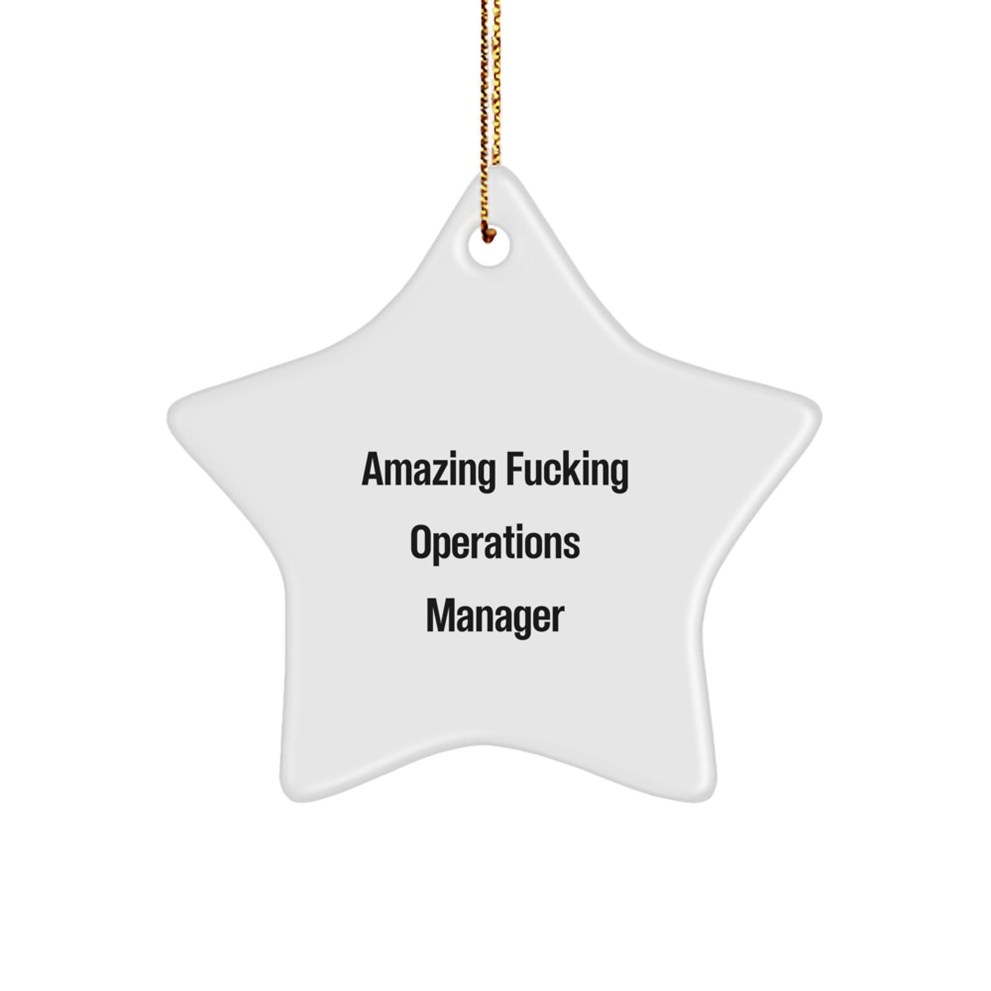Funny Operations Manager Star Ornament for Christmas Unique Gifts from Friends with Inspirational Quote for Him or Her - The Buy Boom