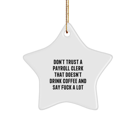 Funny Payroll Clerk Gifts from Friends, Unique Star Ornament for Payroll Clerk, Christmas Unique Gifts with 'Don't Trust A Payroll Clerk...' - The Buy Boom